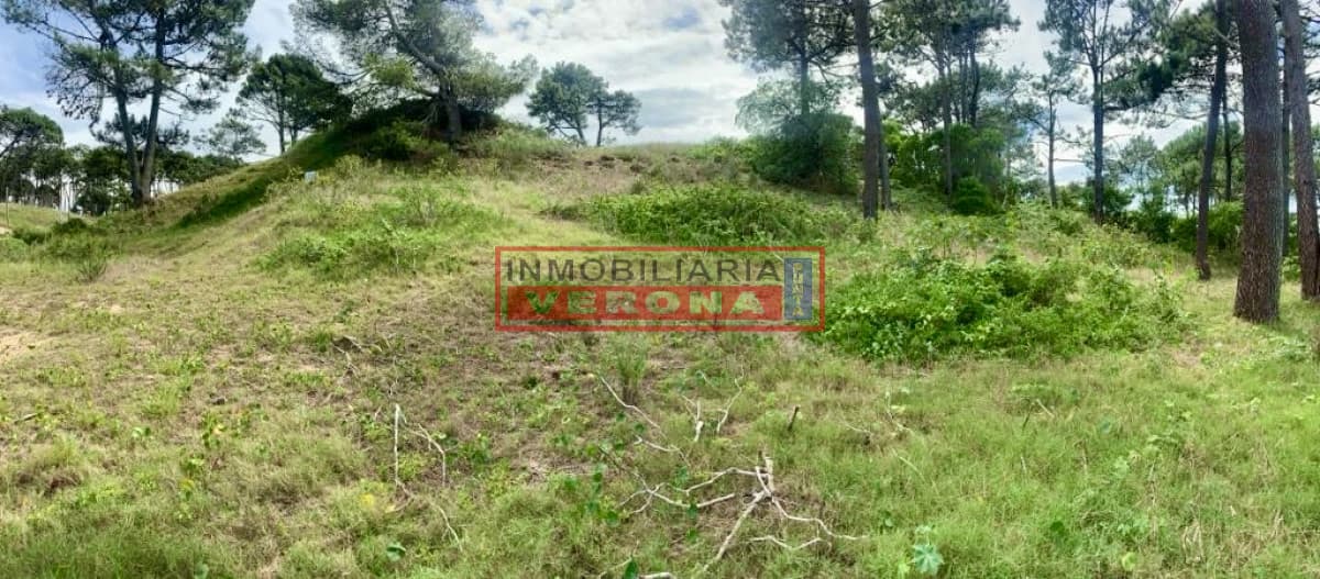 OPORTUNIDAD DE INVERSIÓN !!!   - Inmobiliaria Verona Punta