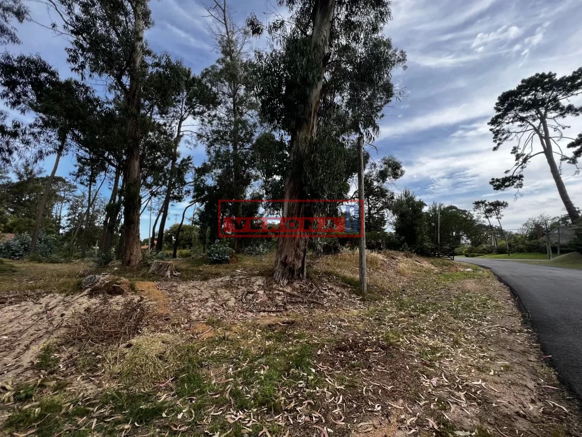 Terreno en MARLY - Entorno Residencial - Inmobiliaria Verona Punta