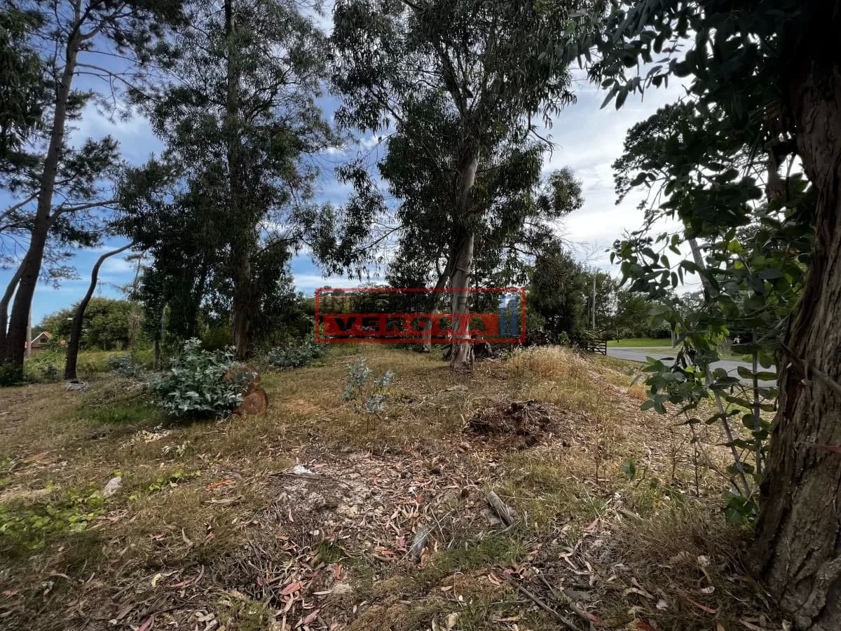 Terreno en MARLY - Entorno Residencial - Inmobiliaria Verona Punta