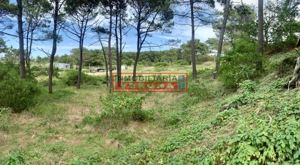 OPORTUNIDAD DE INVERSIÓN !!!   - Inmobiliaria Verona Punta
