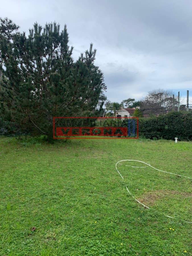 TERRENO EN ZONA RESIDENCIAL - SAN RAFAEL - Inmobiliaria Verona Punta