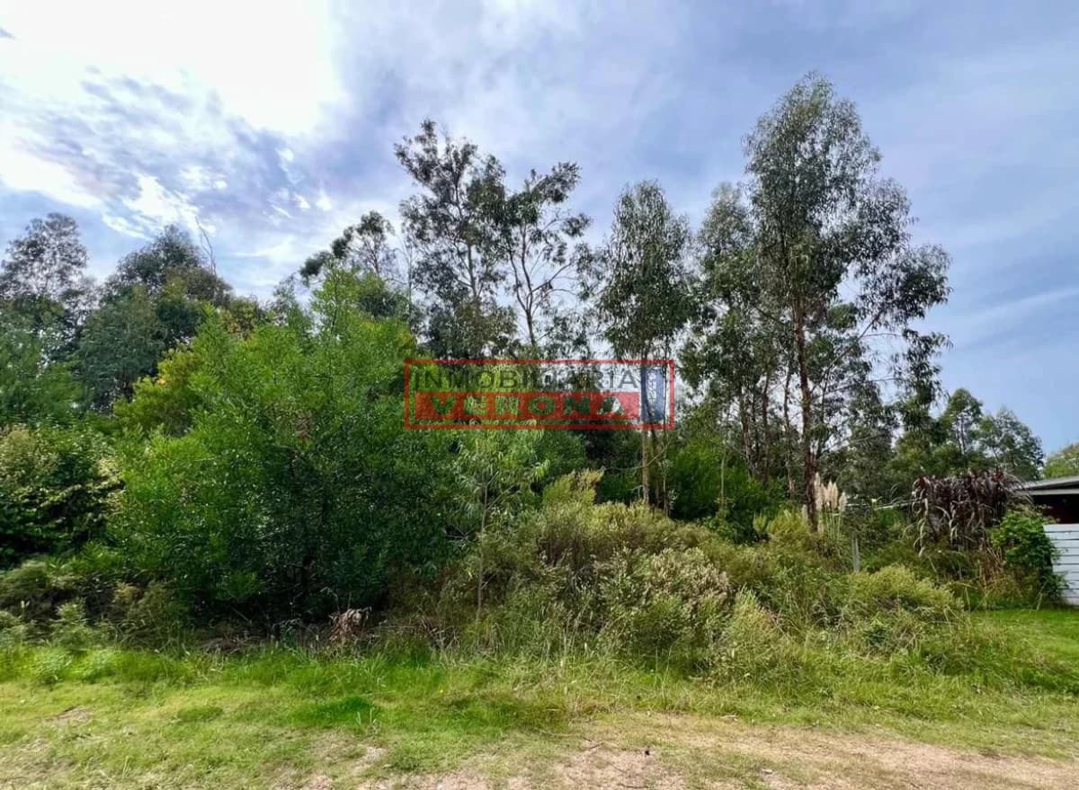 Terreno 900 m2 MIRAMAR ACRES - Inmobiliaria Verona Punta