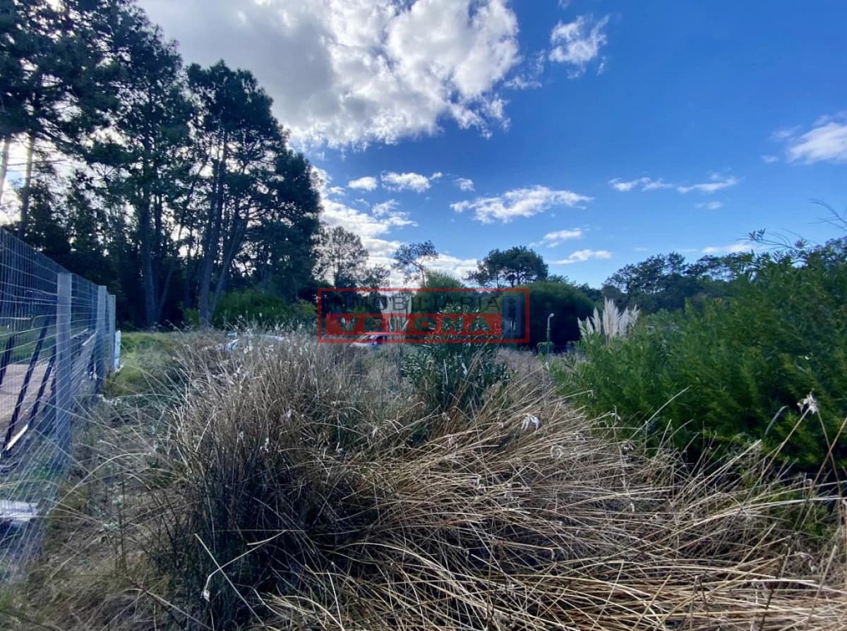 Lote en Barra Verde - La Barra - Inmobiliaria Verona Punta