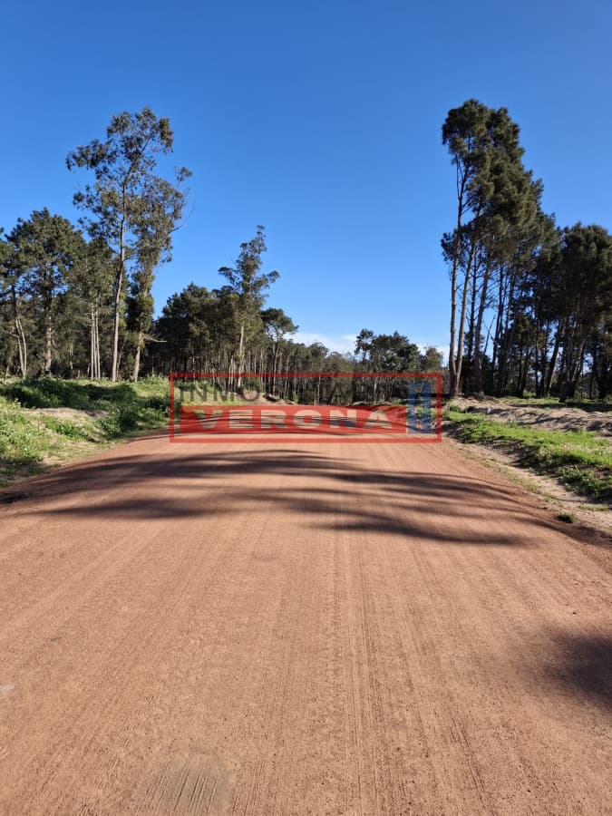 LOTE EN PINARES - Parque Burnett - Inmobiliaria Verona Punta