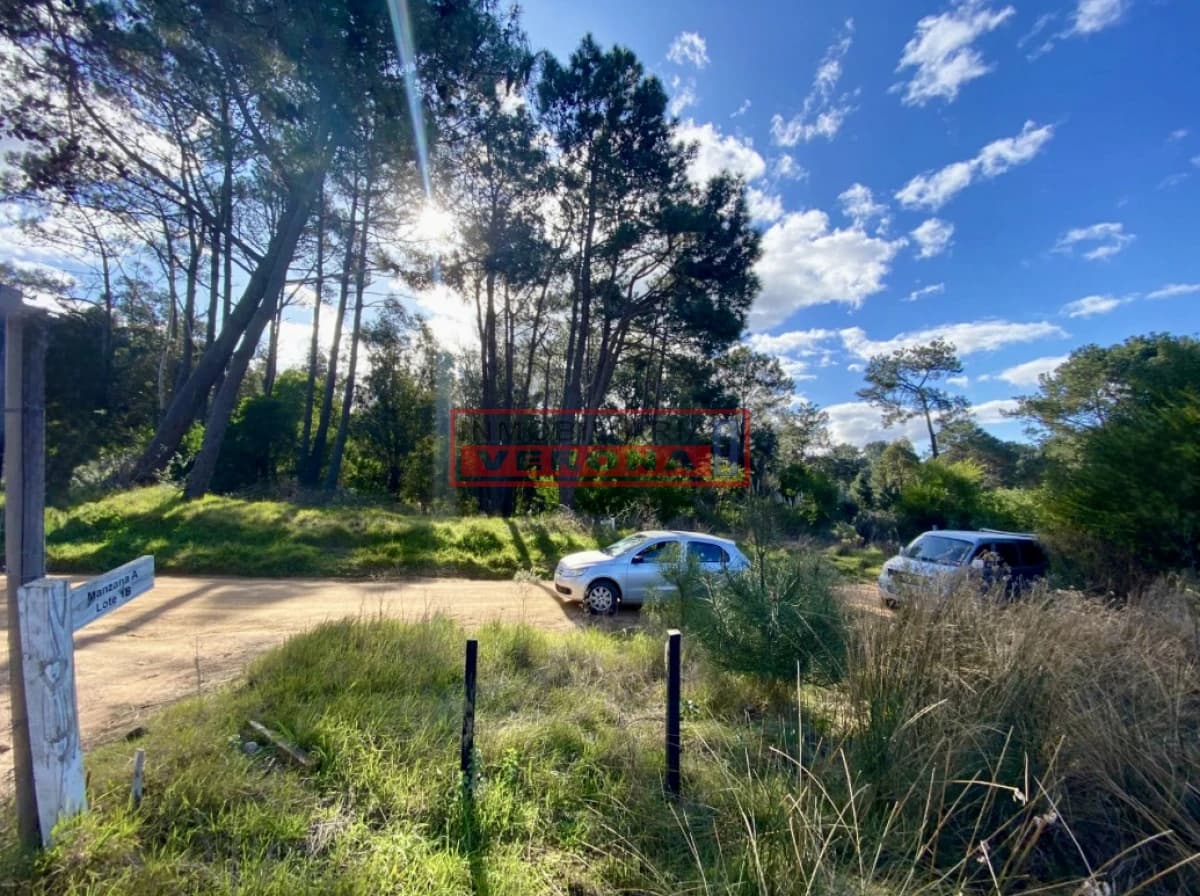 Lote en Barra Verde - La Barra - Inmobiliaria Verona Punta
