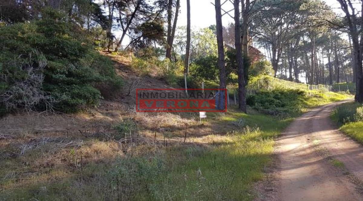 Oportunidad Terreno en Club del Lago - Inmobiliaria Verona Punta
