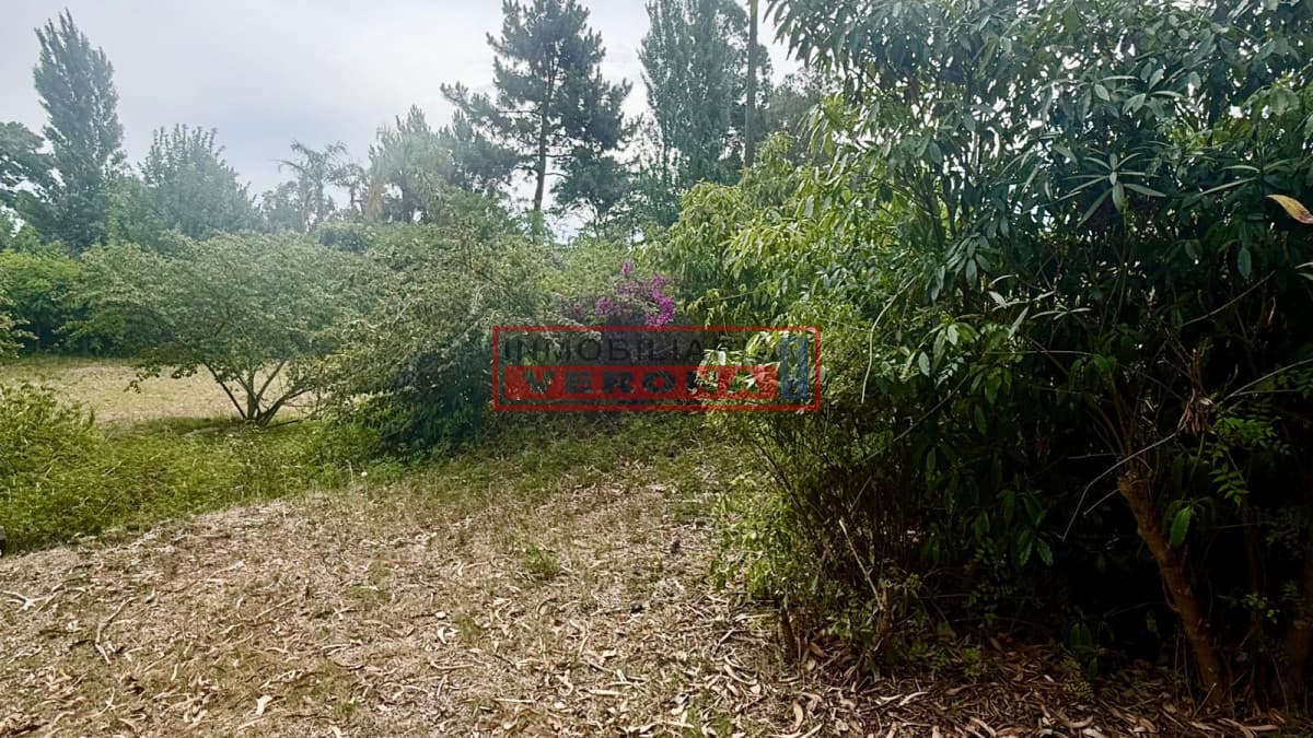 Terreno en Jardines de Córdoba - Inmobiliaria Verona Punta