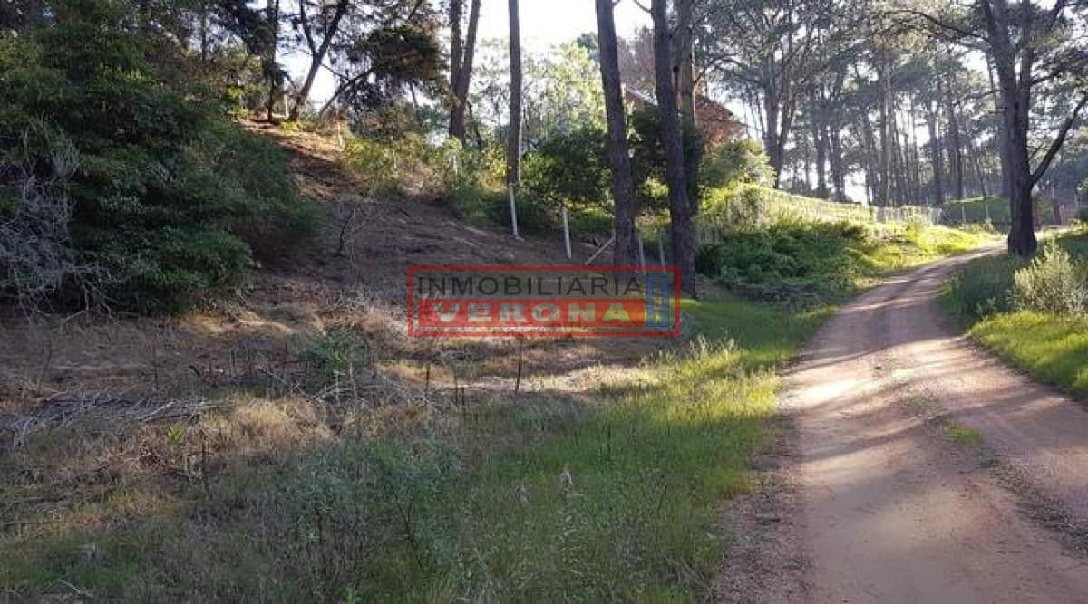 Oportunidad Terreno en Club del Lago - Inmobiliaria Verona Punta