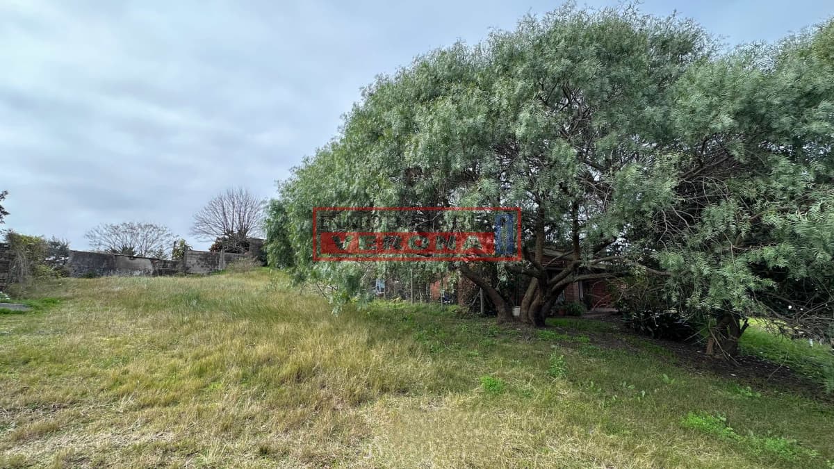 SE VENDE TERRENO EN PUNTA DEL ESTE - Inmobiliaria Verona Punta
