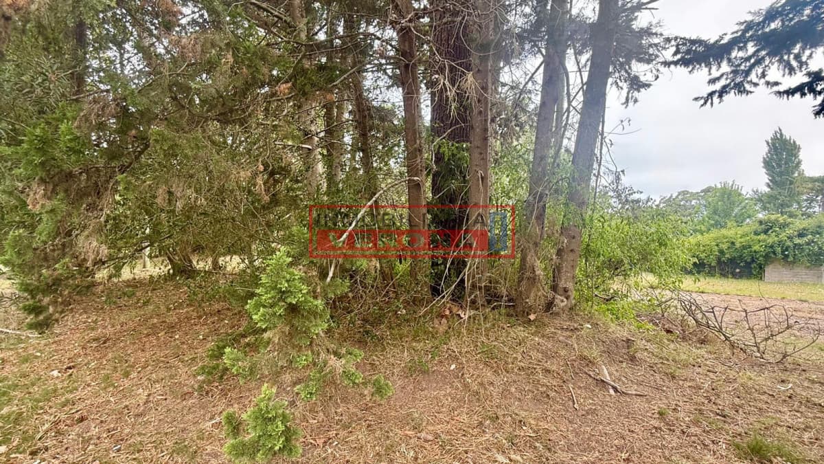 Terreno en Jardines de Córdoba - Inmobiliaria Verona Punta