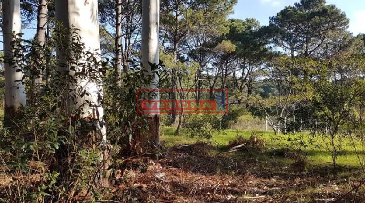 Oportunidad Terreno en Club del Lago - Inmobiliaria Verona Punta