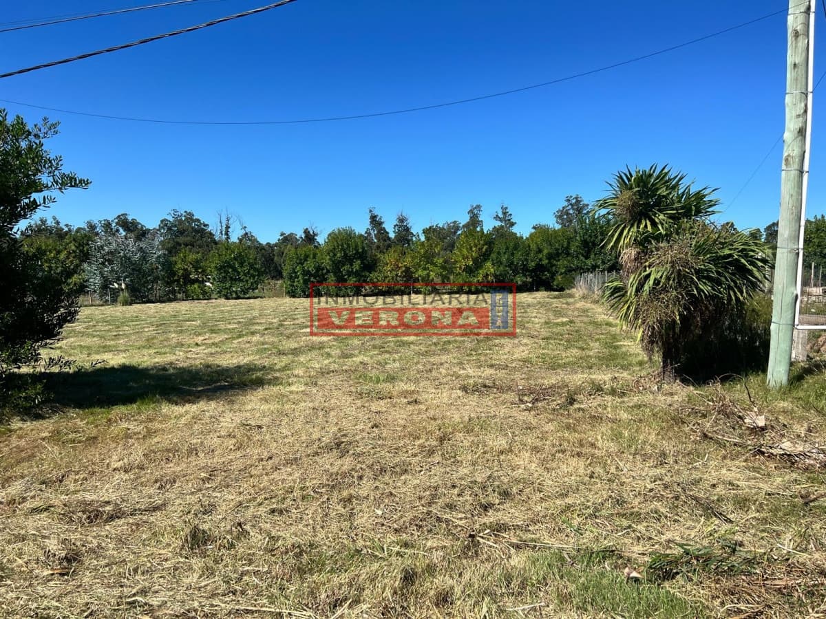 Terreno en La Barra  - Inmobiliaria Verona Punta