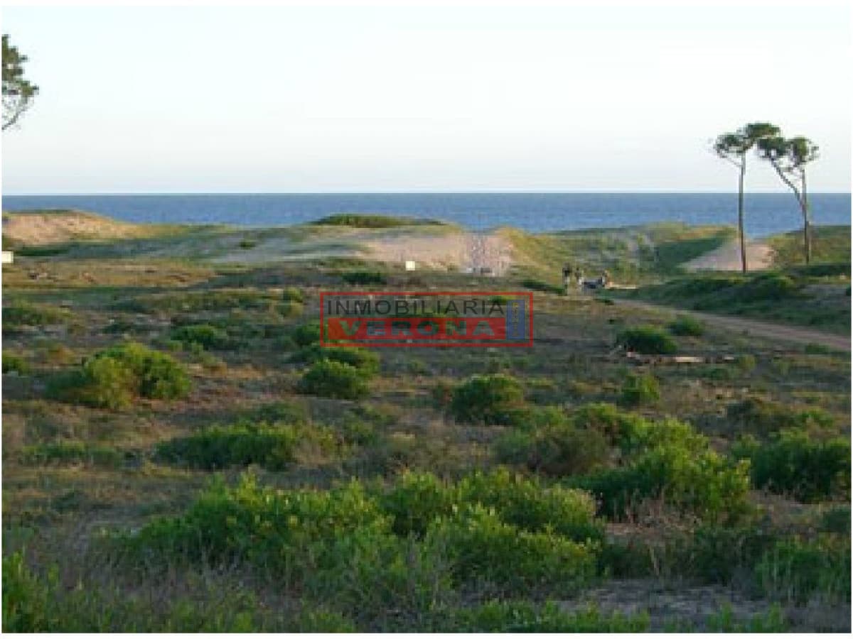 Terreno en Punta Ballena, Chihuahua - Inmobiliaria Verona Punta