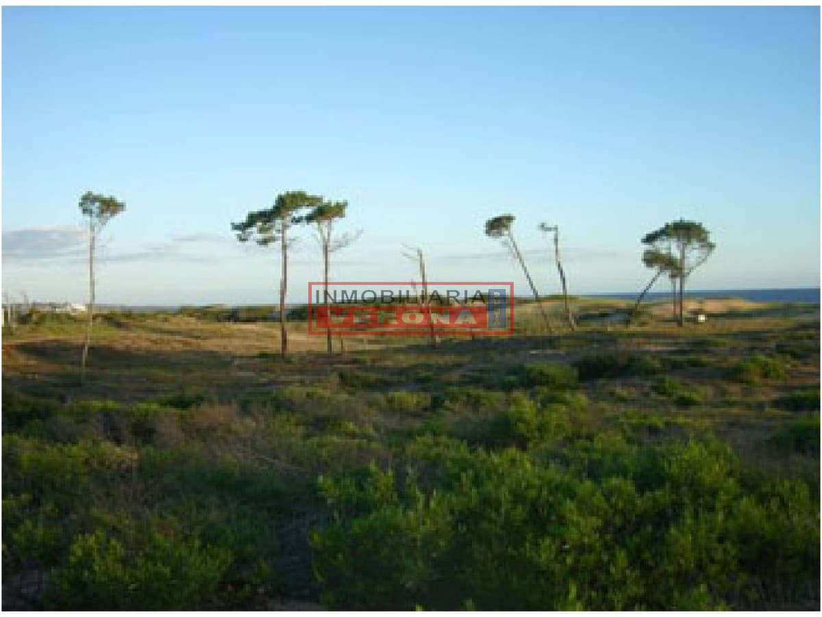 Terreno en Punta Ballena, Chihuahua - Inmobiliaria Verona Punta