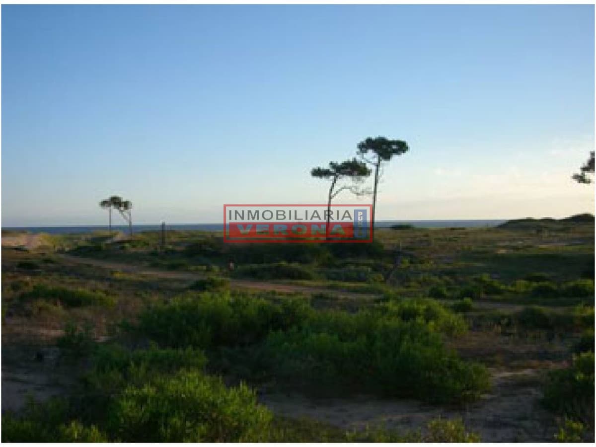 Terreno en Punta Ballena, Chihuahua - Inmobiliaria Verona Punta