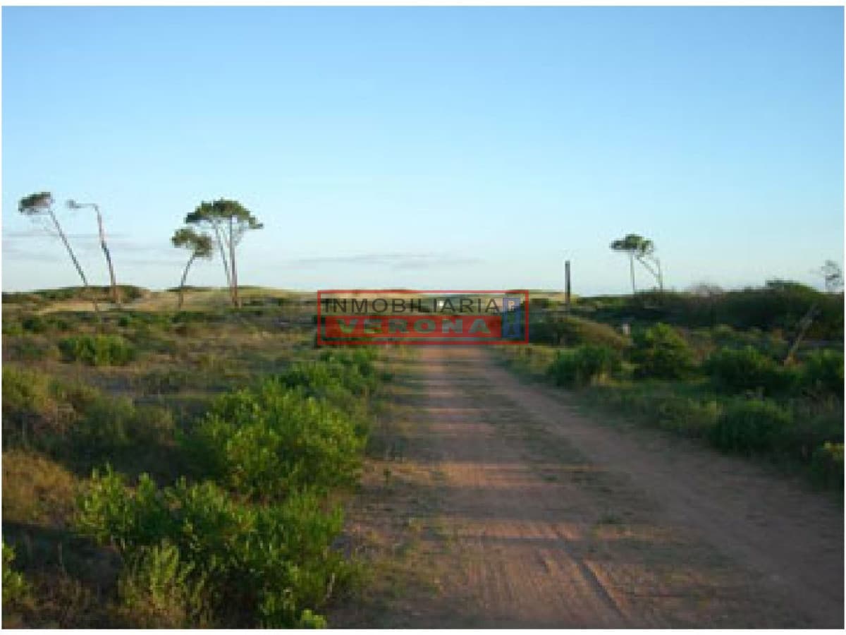 Terreno en Punta Ballena, Chihuahua - Inmobiliaria Verona Punta