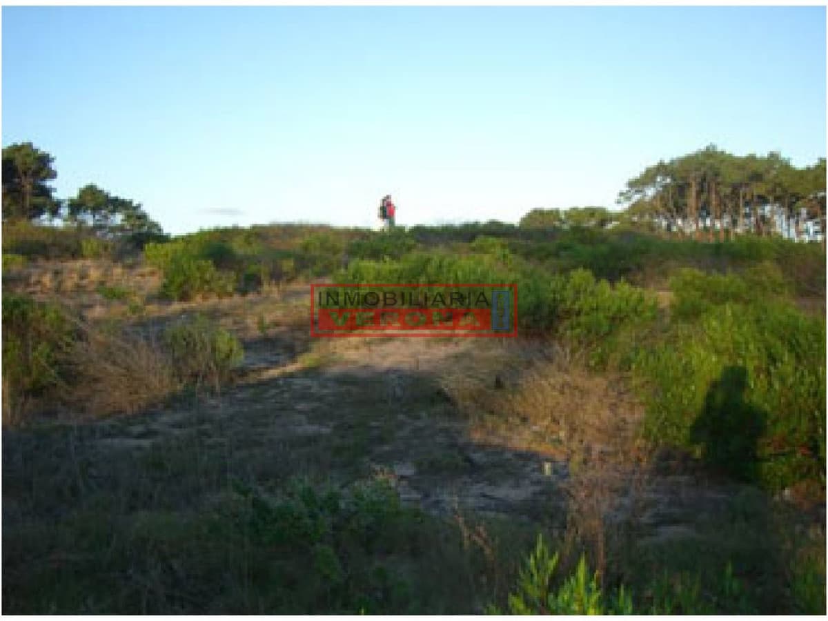 Terreno en Punta Ballena, Chihuahua - Inmobiliaria Verona Punta