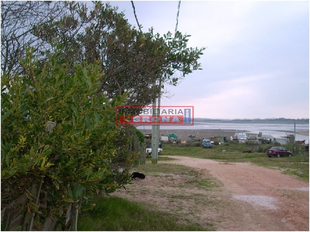 Terreno en Jose Ignacio, Santa Monica - Inmobiliaria Verona Punta