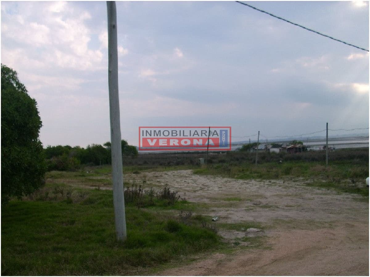 Terreno en Jose Ignacio, Santa Monica - Inmobiliaria Verona Punta