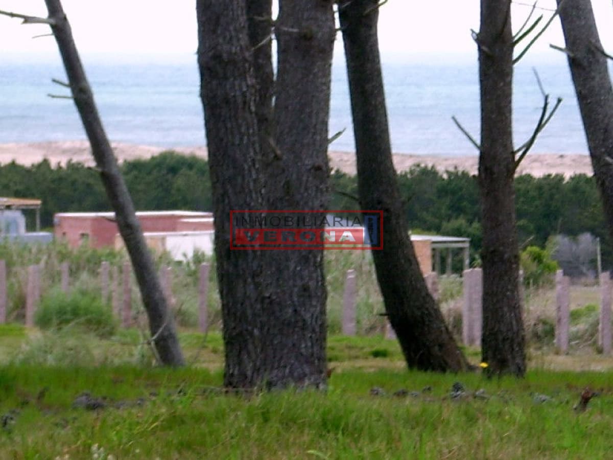 Terreno en Jose Ignacio, José Ignacio - Inmobiliaria Verona Punta