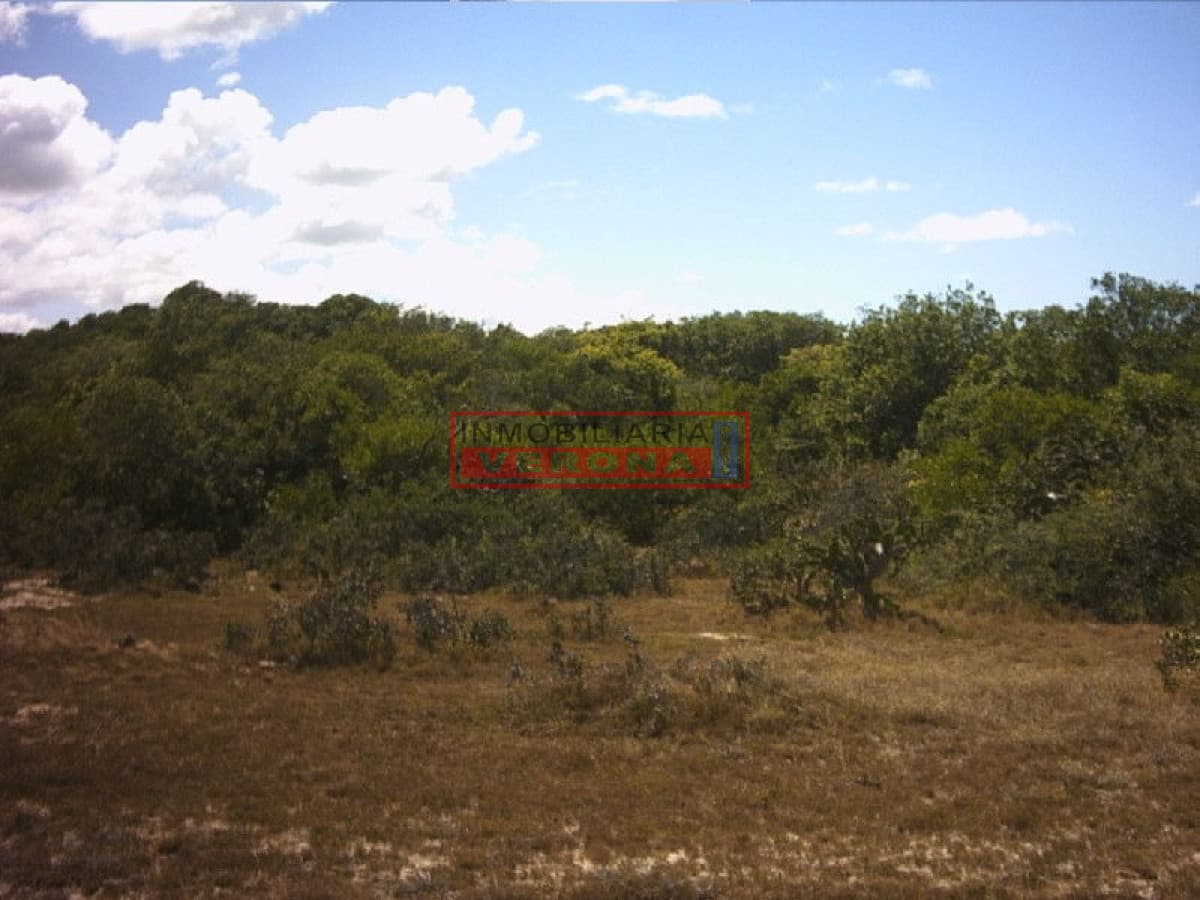 Terreno en Jose Ignacio, José Ignacio - Inmobiliaria Verona Punta