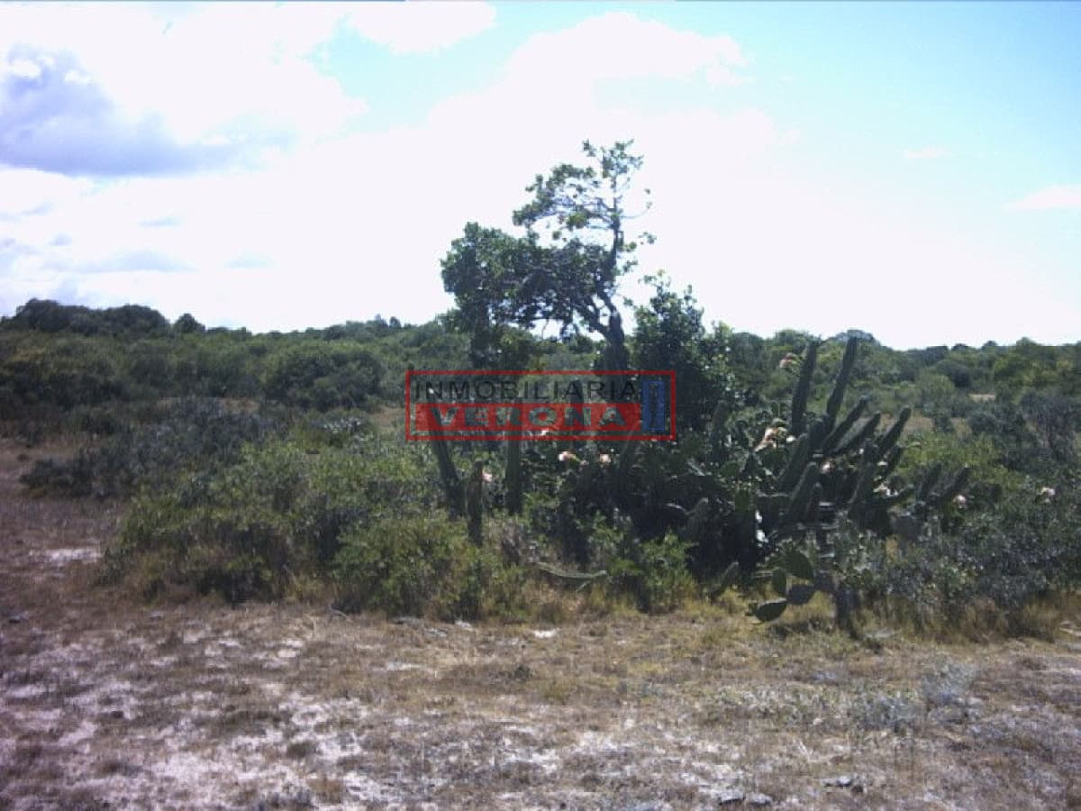 Terreno en Jose Ignacio, José Ignacio - Inmobiliaria Verona Punta