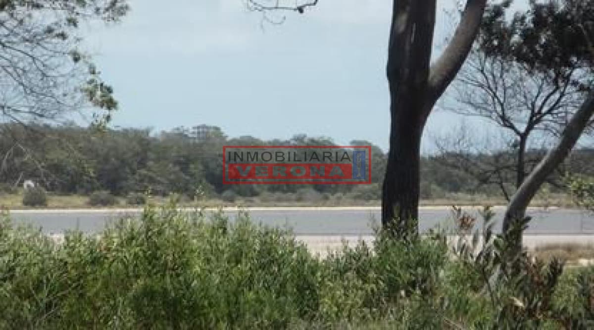 Terreno en Jose Ignacio, Santa Monica - Inmobiliaria Verona Punta