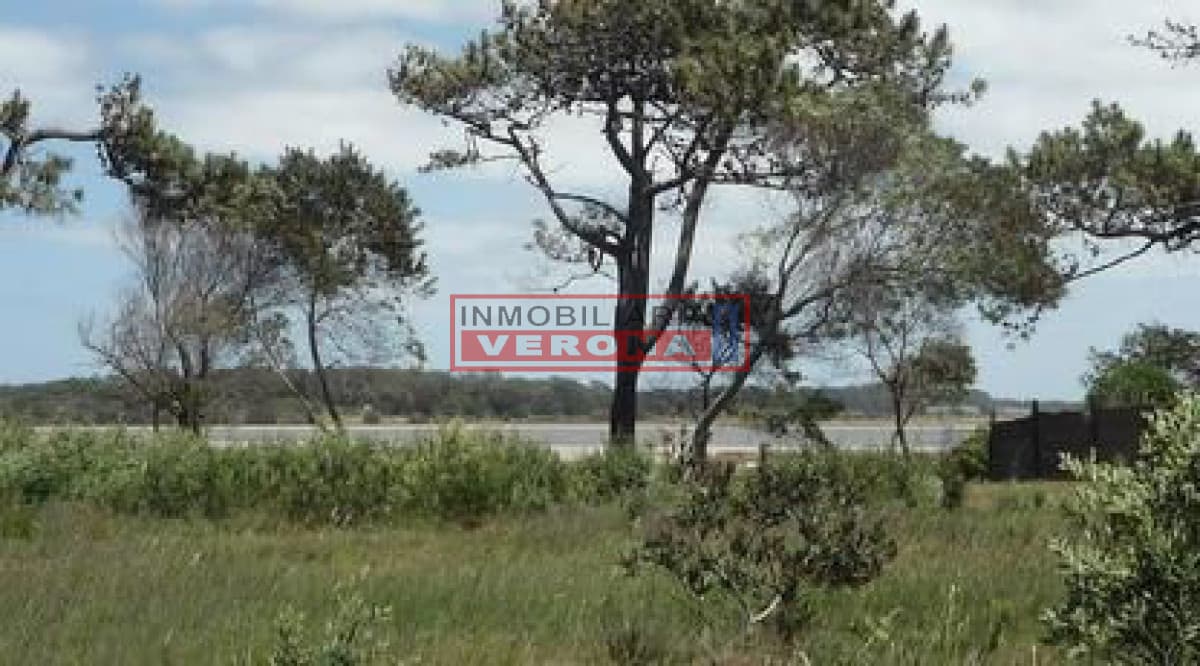 Terreno en Jose Ignacio, Santa Monica - Inmobiliaria Verona Punta