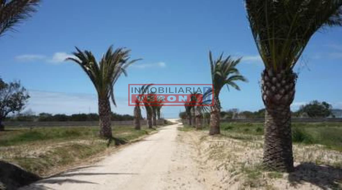 Terreno en Jose Ignacio, Santa Monica - Inmobiliaria Verona Punta