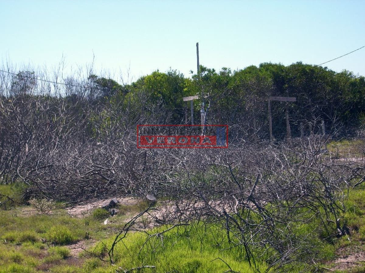 Terreno en Jose Ignacio, La Juanita - Inmobiliaria Verona Punta