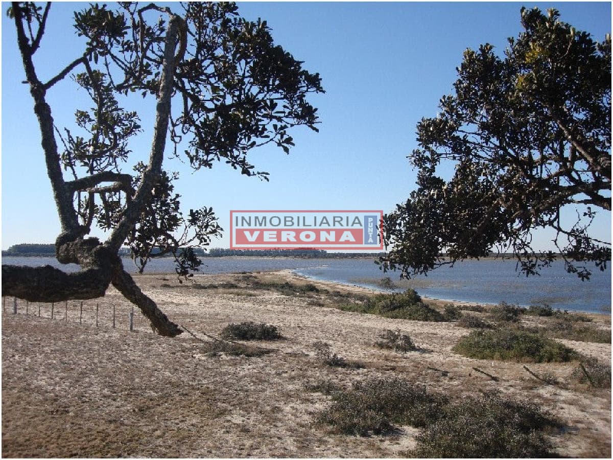 Terreno en Jose Ignacio, José Ignacio - Inmobiliaria Verona Punta