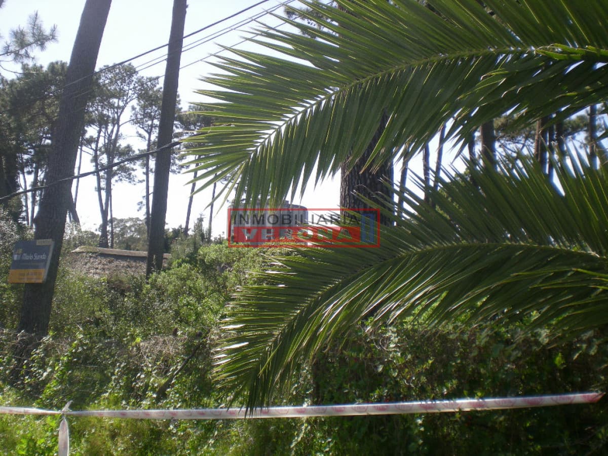 Terreno en Punta del Este, Lugano - Inmobiliaria Verona Punta