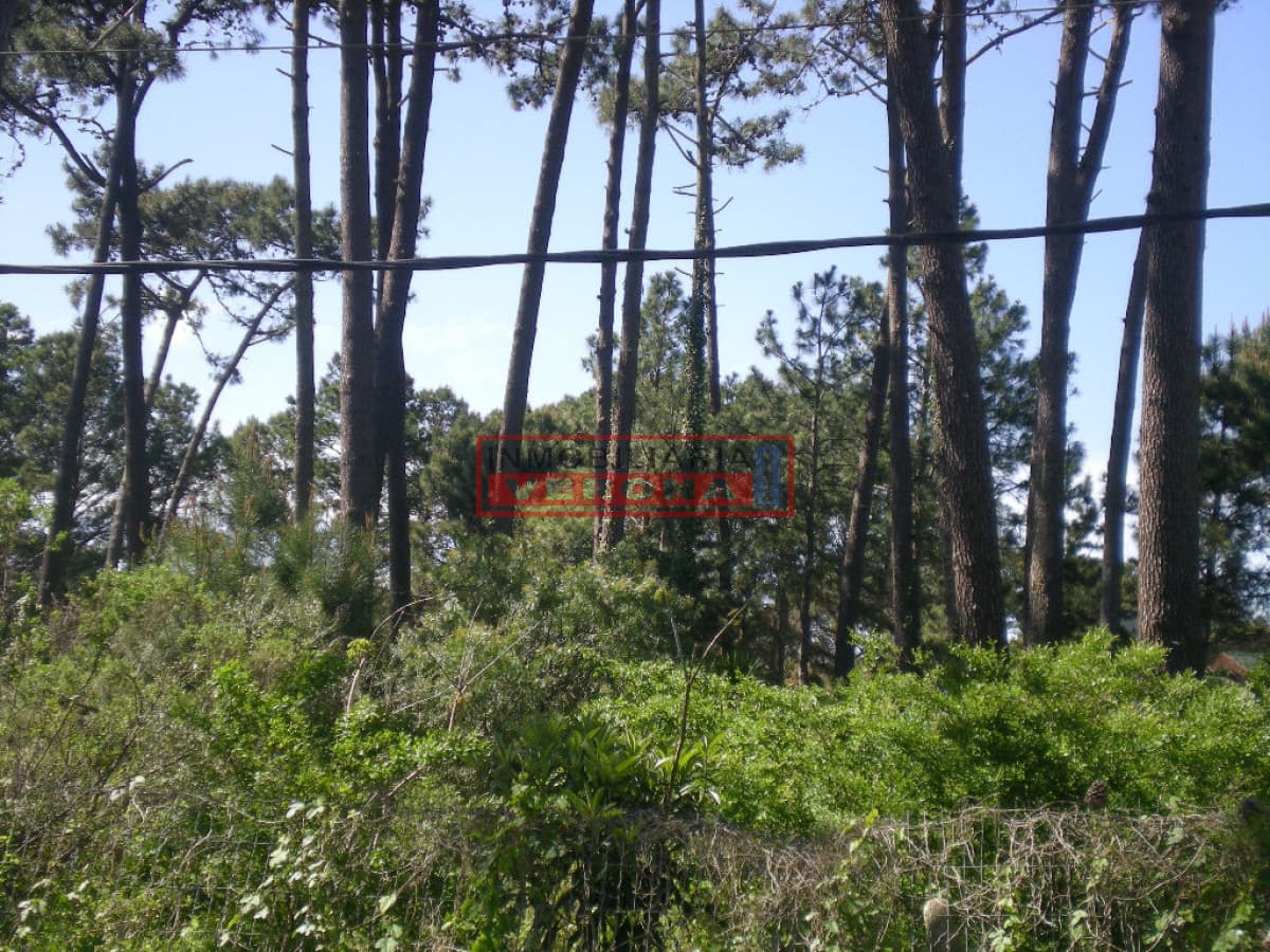 Terreno en Punta del Este, Lugano - Inmobiliaria Verona Punta