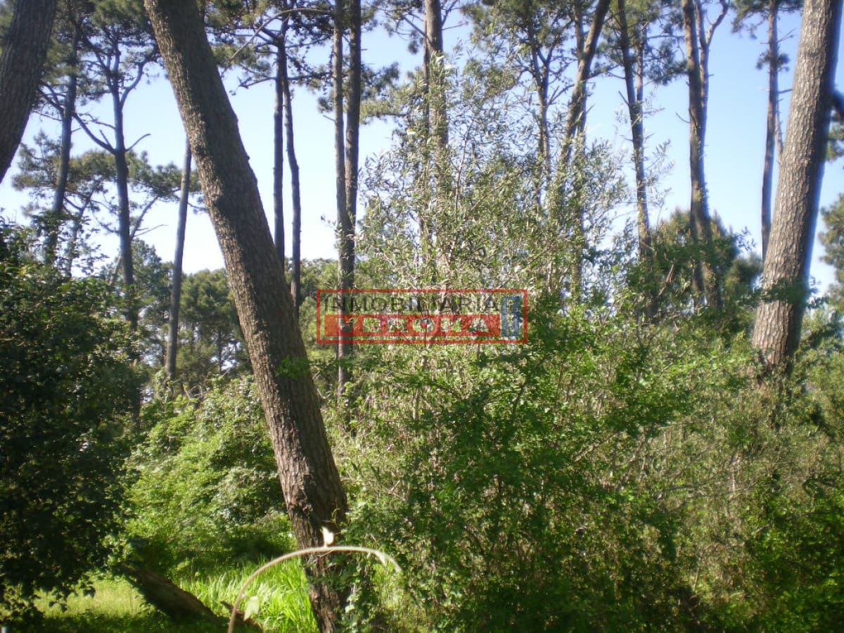 Terreno en Punta del Este, Lugano - Inmobiliaria Verona Punta