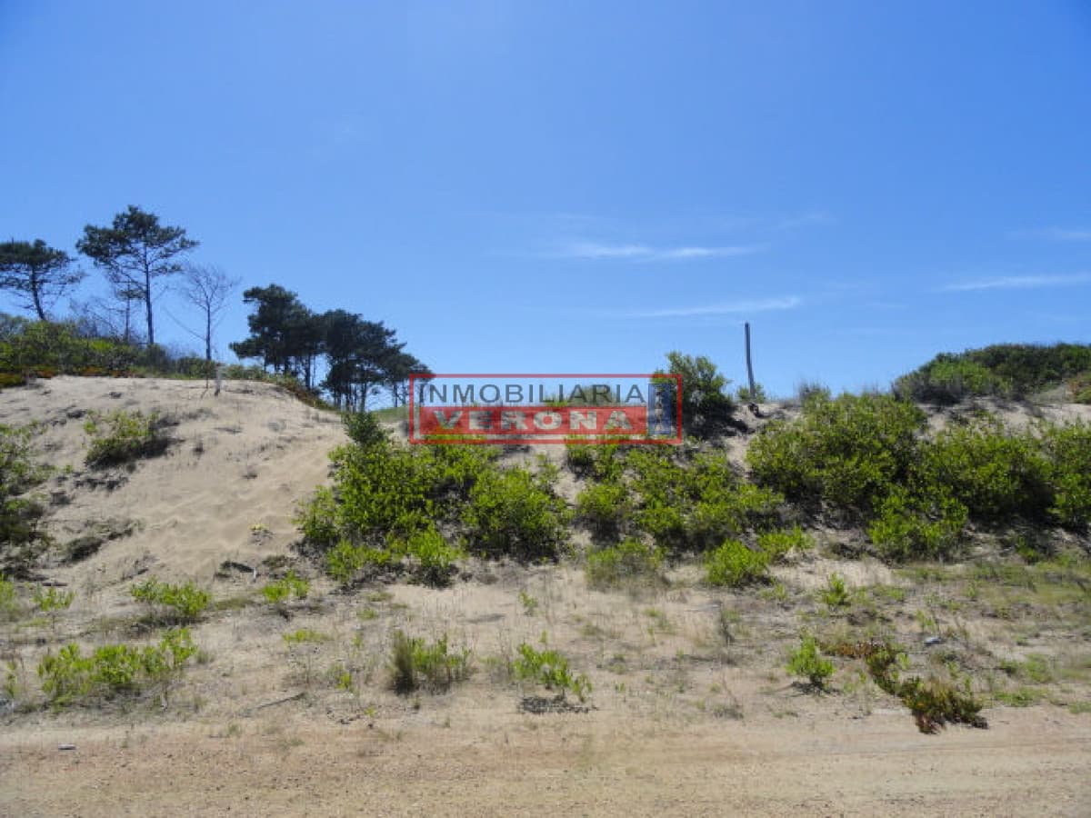 Terreno en Punta Ballena, Chihuahua - Inmobiliaria Verona Punta