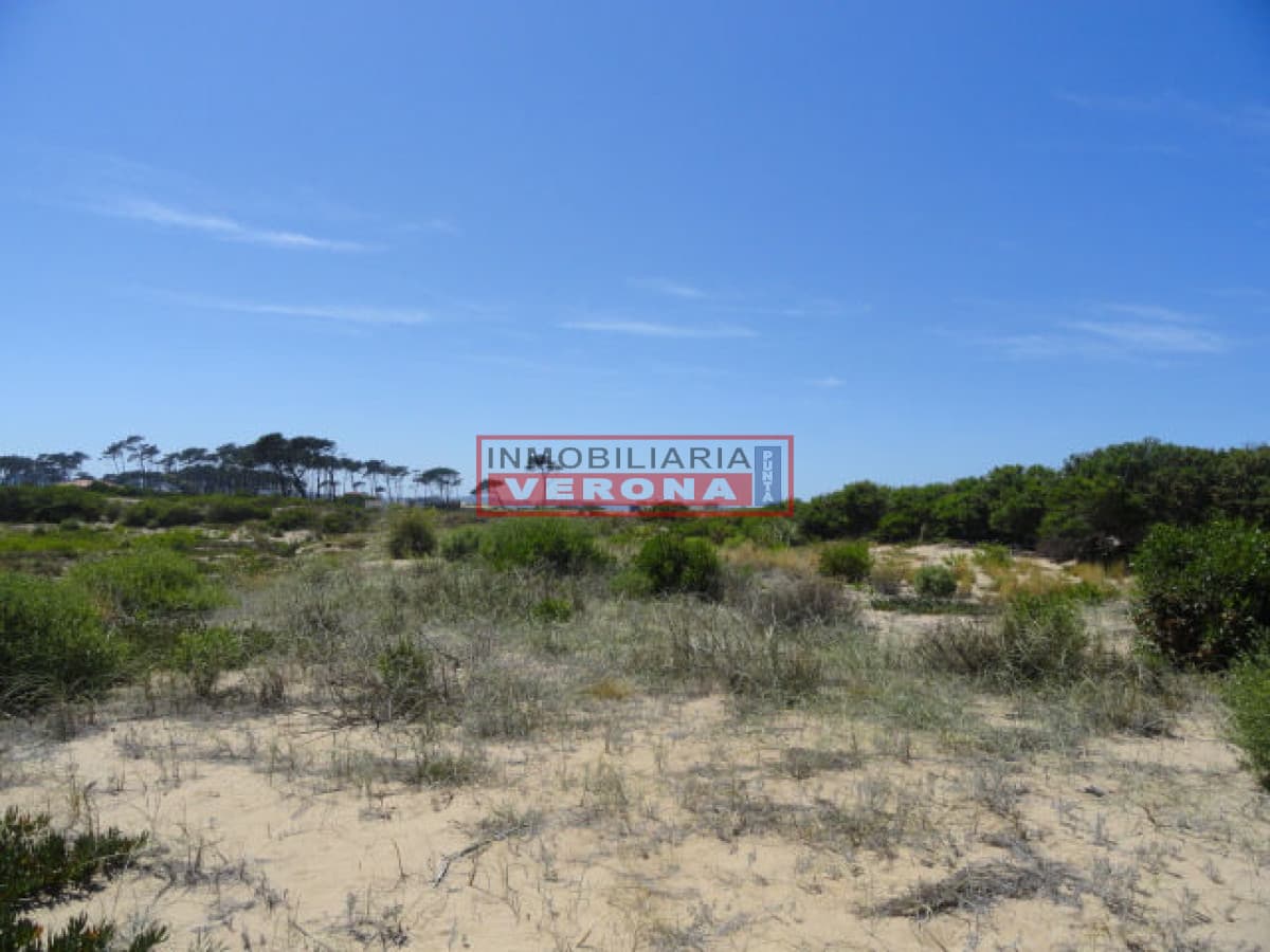 Terreno en Punta Ballena, Chihuahua - Inmobiliaria Verona Punta
