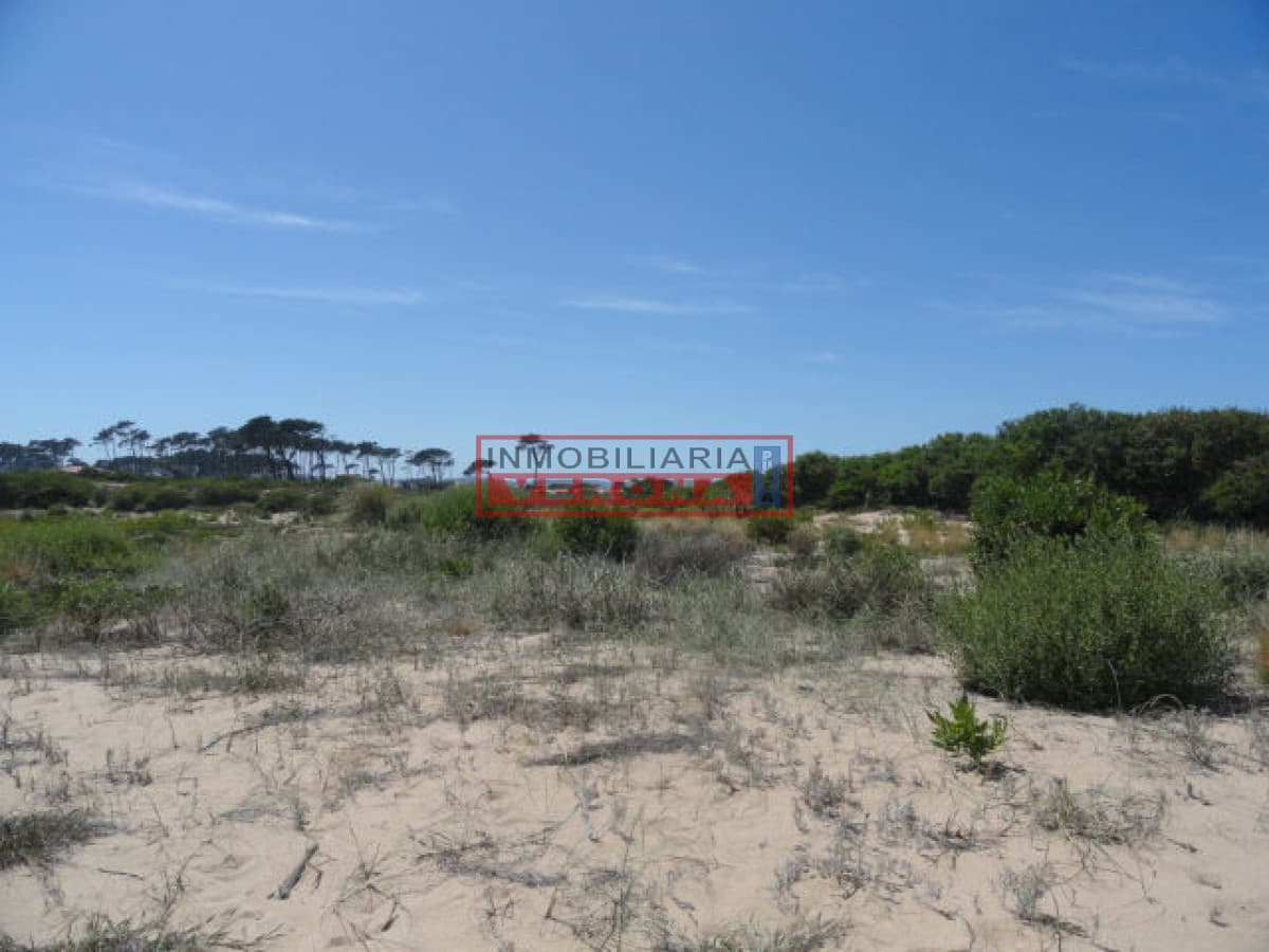 Terreno en Punta Ballena, Chihuahua - Inmobiliaria Verona Punta