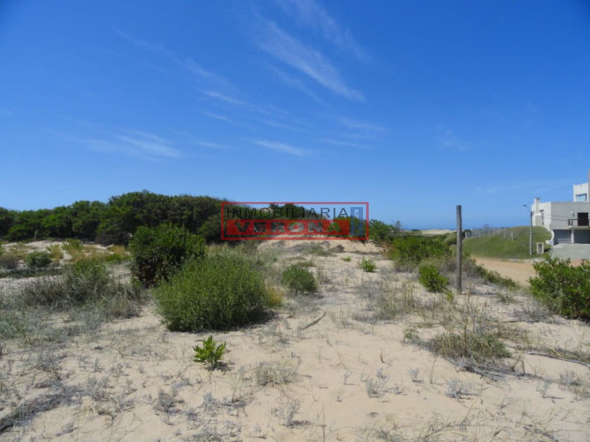 Terreno en Punta Ballena, Chihuahua - Inmobiliaria Verona Punta
