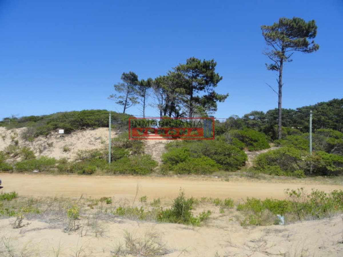 Terreno en Punta Ballena, Chihuahua - Inmobiliaria Verona Punta