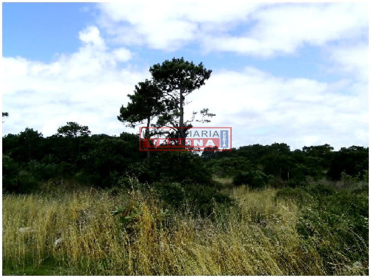 OPORTUNIDAD !!!   - Inmobiliaria Verona Punta