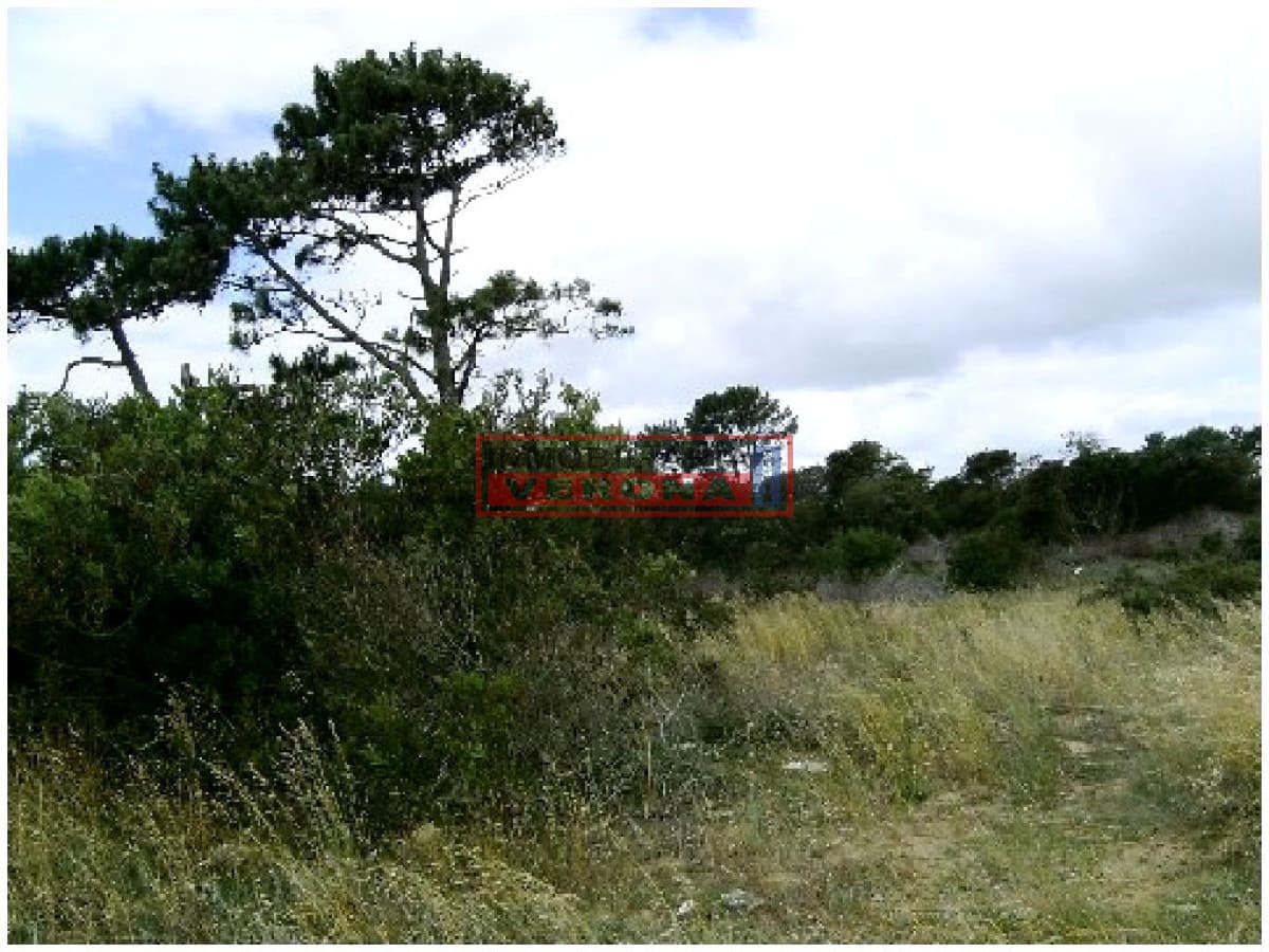 OPORTUNIDAD !!!   - Inmobiliaria Verona Punta