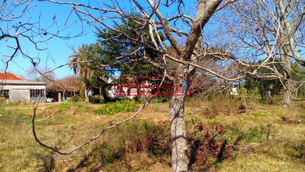 Terreno en Maldonado, Centro Maldonado - Inmobiliaria Verona Punta