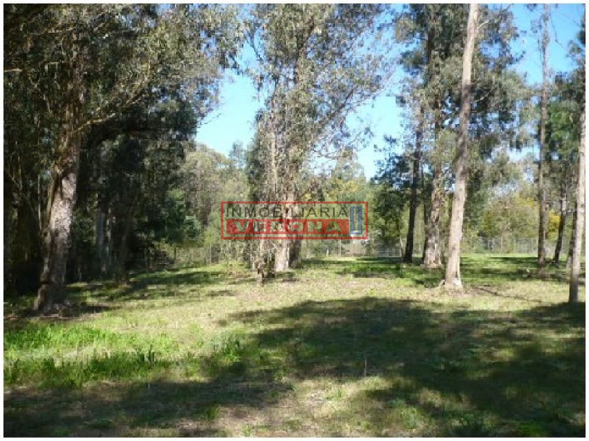 Terreno en Punta del Este, Rincón del Indio - Inmobiliaria Verona Punta