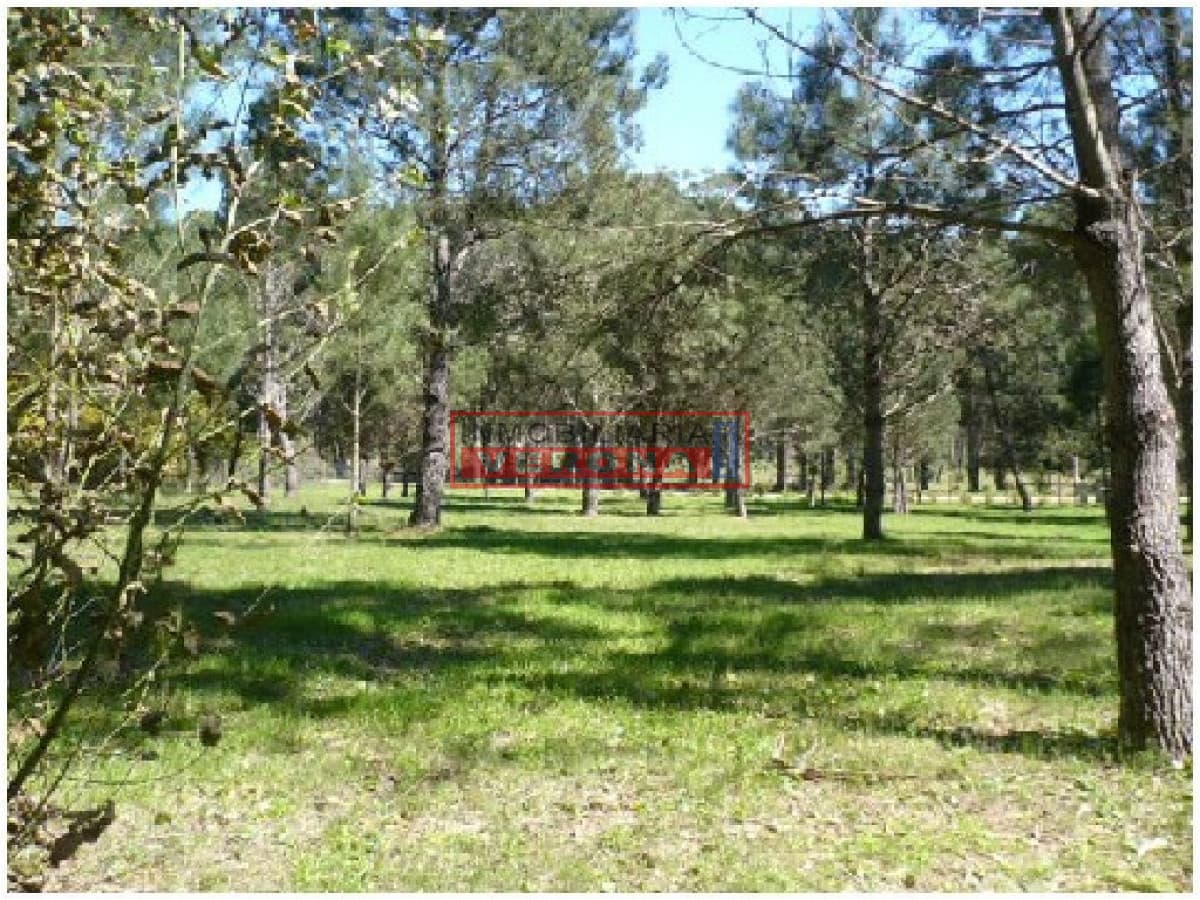 Terreno en Punta del Este, Rincón del Indio - Inmobiliaria Verona Punta