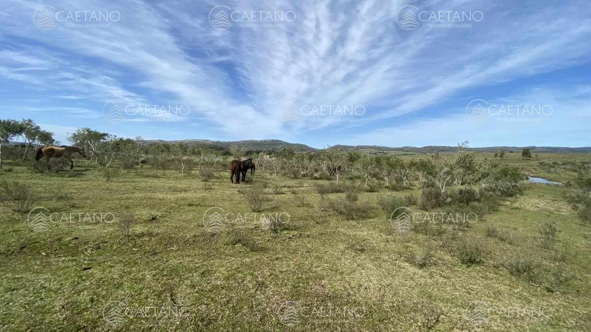 Oportunidad en Paraje Las Cañas !!!