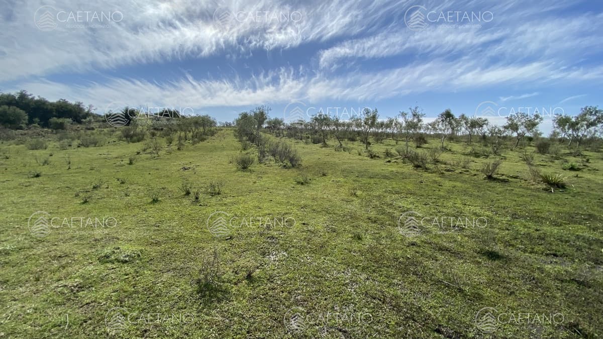 Oportunidad en Paraje Las Cañas !!!