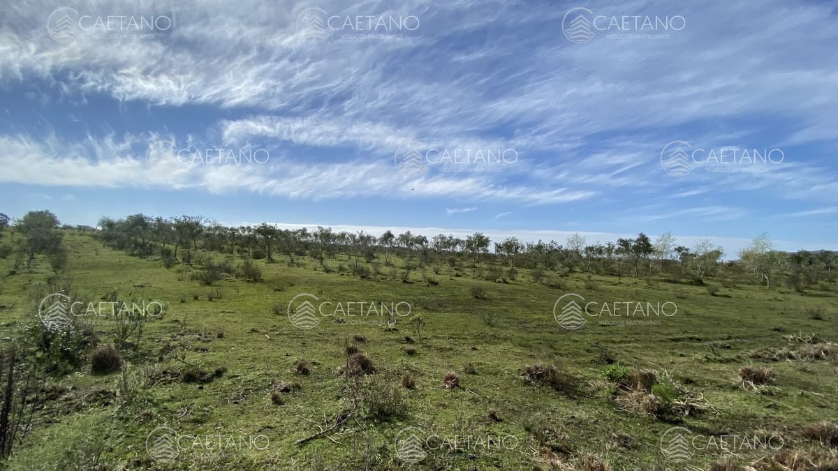 Oportunidad en Paraje Las Cañas !!!