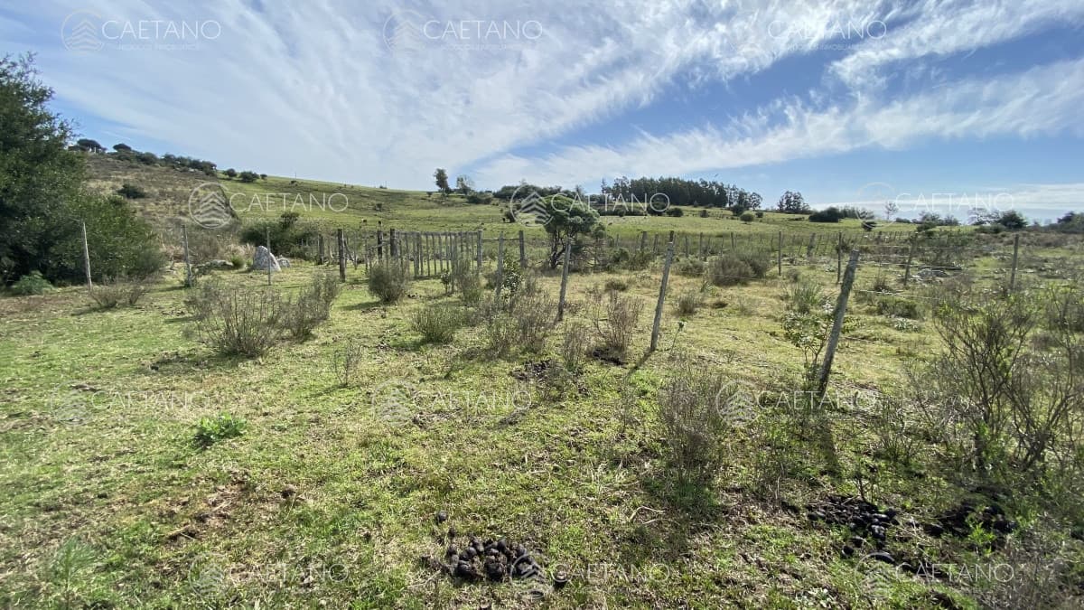 Oportunidad en Paraje Las Cañas !!!