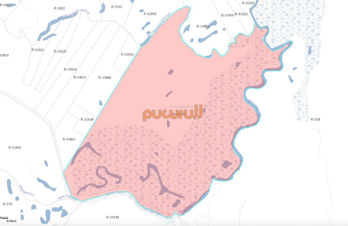 Campo en venta de 600ha ubicado en Cerro Batovi