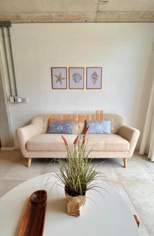 Casa En Venta En Punta Colorada